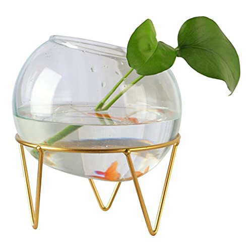 Fisch Tank Kreative Halterung Glas Transparent Aquarium Wasser Pflanze Vase Kleine Zierfische Hydrokultur Tank Büro Hause Fischschale (Size : 4.33IN) von GRFIT