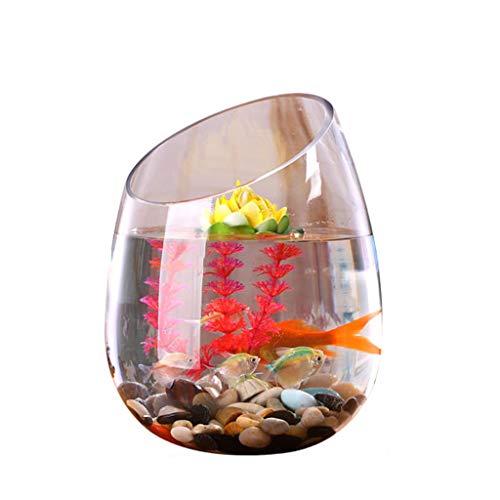 Fisch Tank Persönlichkeit Kreative Transparente Glas Aquarium Aquarium Hydrokultur Pflanze Goldfisch Tank Fischschale (Size : L) von GRFIT
