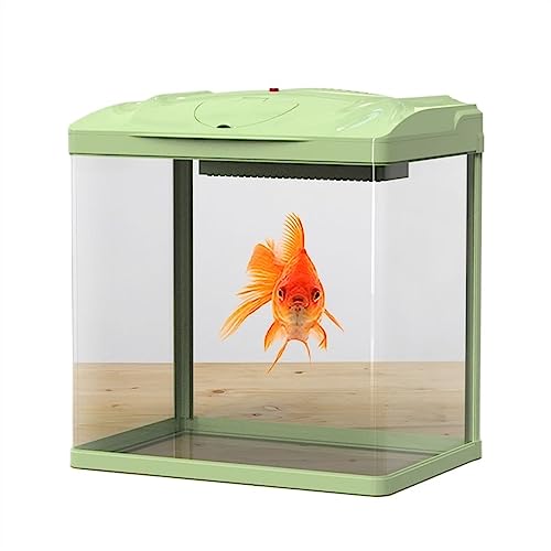 GRFIT Fisch Tank Aquarium, grünes Aquarium, ökologischer Tischtank, kein Wasserwechsel, Goldfisch-Glastank mit LED-Leuchten, Kleiner Heimtank mit Wasserpumpe Fischschale von GRFIT