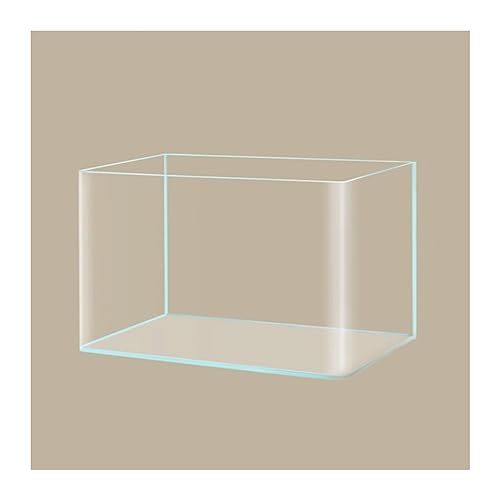 GRFIT Fisch Tank Aquarium-Becken, rechteckige Glas-Tischplatte, kleines Aquarium, Öko-Landschaft, Wasserpflanzen, Goldfische, Aquakultur-Dekoration Fischschale (Size : F) von GRFIT