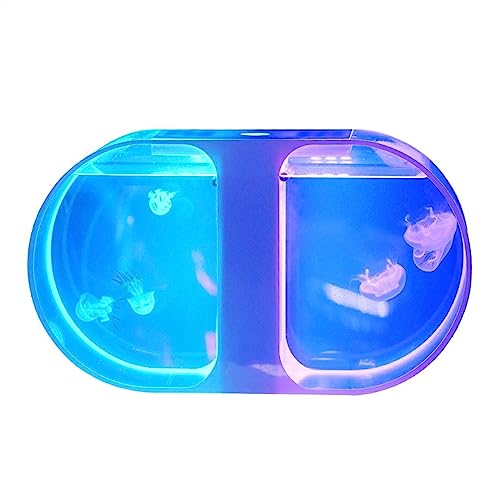 GRFIT Fisch Tank Aquarium Bilaterales Quallenbecken Desktop-Aquarium Aquarium Kleines Quallenbecken Zierfischbecken Büroaquarium Heimdekoration Fischschale von GRFIT