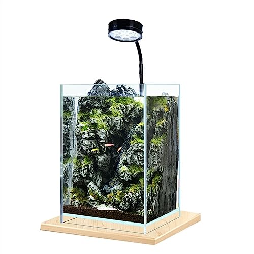 GRFIT Fisch Tank Aquarium Desktop Kleines Aquarium DIY Ökologisches Büro Zuhause Desktop Aquarium Desktop Dekoration Fischschale von GRFIT