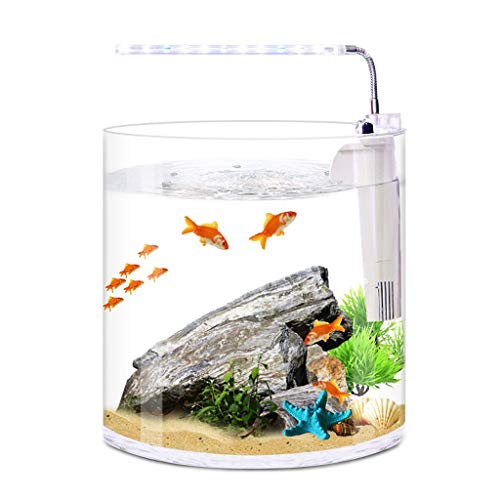 GRFIT Fisch Tank Desktop Kreative Mini Glas Runde Aquarium Home Wohnzimmer Büro Filter LED-Licht Aquarium Fischschale (Size : M) von GRFIT