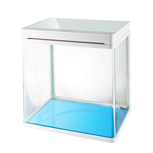 GRFIT Fisch Tank Kreatives kleines Glaszylinder-LED-Licht des Tischplattenaquarium-HD mit Filter-Aquarium Fischschale (Color : White) von GRFIT