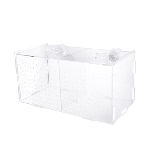 GRIRIW Acryl Fischzucht Isolierbox Für Aquarien Multifunktionale Brutkästen Mit Saugnapf Design Für Aufzucht Und Isolation Von Fischen Im Aquarium von GRIRIW