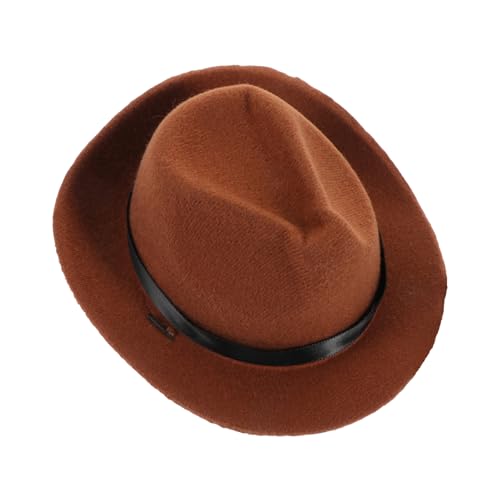 GRIRIW Haustiermütze Beanie Katzenmütze Requisiten Für Haustierfotografie Welpenmütze Aquariummütze Hundemütze Fedora Hundegeburtstagsmütze Hundemamamütze Hunde Cowboyhut Individuelle von GRIRIW