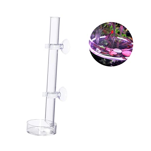 GRIRIW Klarer Garnelen Futterrohr Mit Futterteller 2cm x 22cm Ideal Für Aquarien Und Fisch Tanks Optimal Für Die Fütterung Von Garnelen Und Krabben von GRIRIW