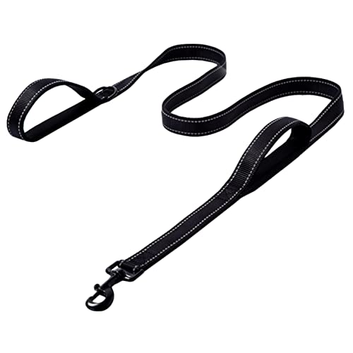 GRIRIW Robuste Nylon Hundeleine Für Outdoor Aktivitäten Strapazierfähiges Hundeseil Mit Traktionsgurt Für Sicheres Spazierengehen Und Training Ideal Für Mittelgroße Und Große Hunde von GRIRIW