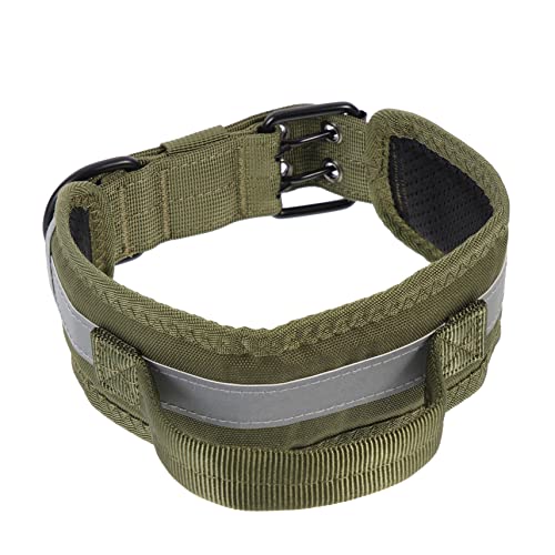 GRIRIW Robustes Verstellbares Hundehalsband Mit Reflektierenden Streifen Und Metallverschluss Für Training Und Outdoor Weiches Gepolstertes Nylon Halsband Für Mittelgroße Und Große Hunde von GRIRIW