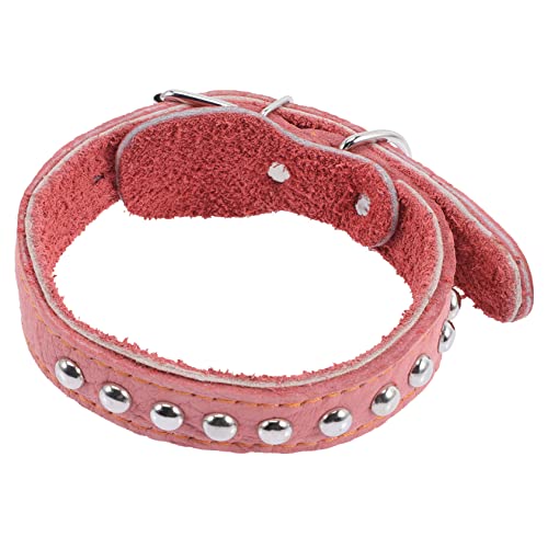 GRIRIW Welpenhalsband für große Hunde kreatives Haustierhalsband Kragen hundezubehör Dog Accessories welpen abriebfestes Katzenhalsband Dickes Hundehalsband von GRIRIW