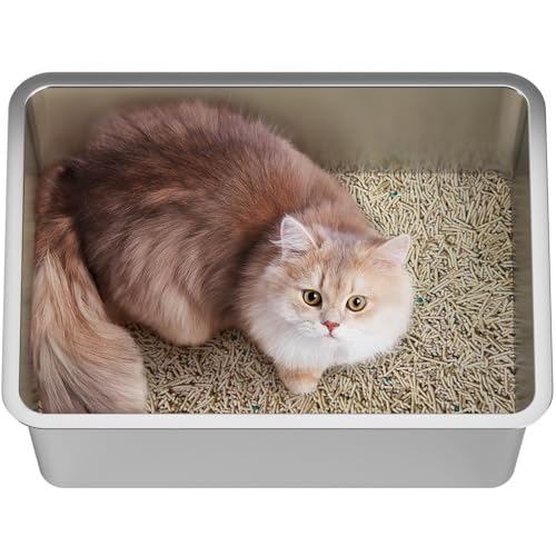 GRWO Katzentoilette aus Edelstahl, Katzentoilette, Katzentoilette, Metall-Katzentoilette für Katzen bis zu 5 kg, antihaftbeschichtet, leicht zu reinigen, 45 x 34 x 15 cm, 1,2 kg von GRWO