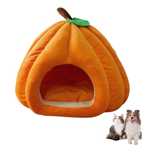 Kürbis Katzenbett Katzenhöhle Katzenhaus Indoor,Halloween Kürbisform Katzenhöhle Bett,Halloween Kürbisform Katzenhöhle Bett,Winterfeste Katzenhäuser,Warme Höhle Für Katzen Kleine Hunde (Orange, L) von GUAHKUN