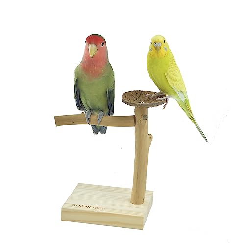 GUANLANT Vogelständer aus natürlichem Holz, tragbar, für Papageien, Sitzstange, Spielständer, Futterschale, Spielzeug, Vogelkäfig, Spielplatz-Zubehör für Sittiche, Sittiche, Wellensittiche, Sittiche, von GUANLANT