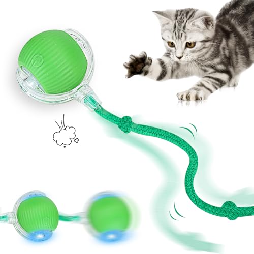 GUBOOM Intelligenter Automatischer Rollball für Haustiere, Interaktives Hundespielzeug Ball, Wiederaufladbares Katzenballspielzeug, Smart Automatisch Rollender Ball für Katzen und Hunde (Grün) von GUBOOM