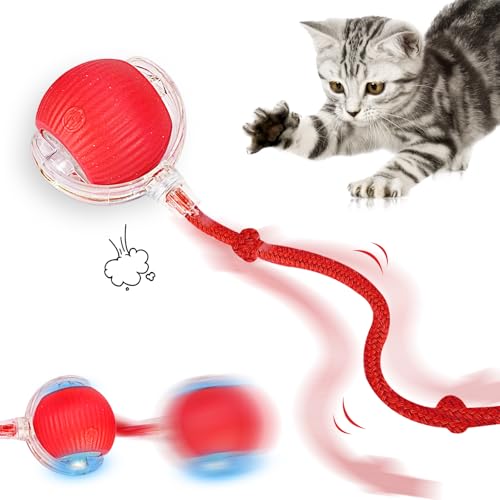 GUBOOM Intelligenter Automatischer Rollball für Haustiere, Interaktives Hundespielzeug Ball, Wiederaufladbares Katzenballspielzeug, Smart Automatisch Rollender Ball für Katzen und Hunde (Rot) von GUBOOM