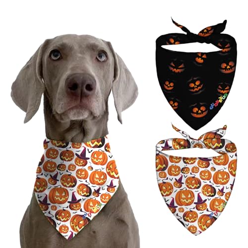 Hundehalstücher für große Hunde, Halstücher für kleine und mittelgroße Rassen, kühlende Halstücher für Hunde, Hundezubehör, Halloween, schrecklicher Kürbis, Outdoor-Dekoration, 3D-Druck, von GUDEEYOO