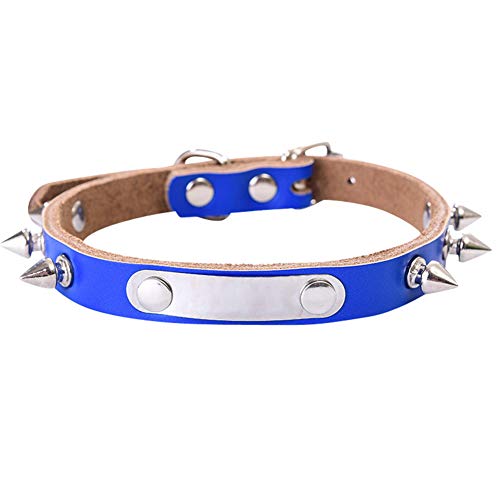 GUOCU 10 Stücke verstellbares Nylon-Hundehalsband mit weicher Polsterung für Welpenhunde,Blau (10 Stücke),L von GUOCU