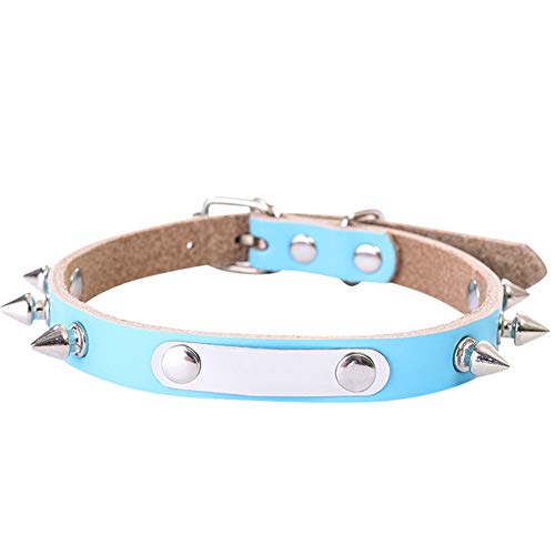 GUOCU 10 Stücke verstellbares Nylon-Hundehalsband mit weicher Polsterung für Welpenhunde,Himmelblau (10 Stücke),L von GUOCU