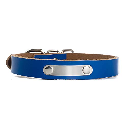 GUOCU 5 Stücke Katzenhalsbänder Schnellmiete Cute Pet Safety Collar,Blau (5 Stücke),2XL von GUOCU