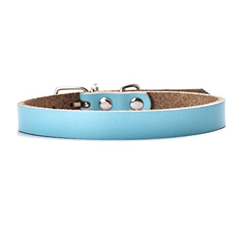 GUOCU 5 Stücke Katzenhalsbänder Schnellmiete Cute Pet Safety Collar,Himmelblau (5 Stücke),2XL von GUOCU