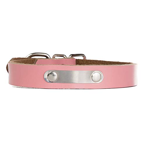 GUOCU 5 Stücke Katzenhalsbänder Schnellmiete Cute Pet Safety Collar,Pink (5 Stücke),2XL von GUOCU