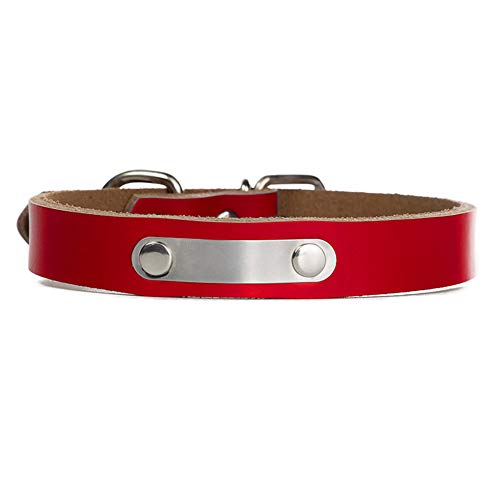 GUOCU 5 Stücke Katzenhalsbänder Schnellmiete Cute Pet Safety Collar,Rot (5 Stücke),2XL von GUOCU