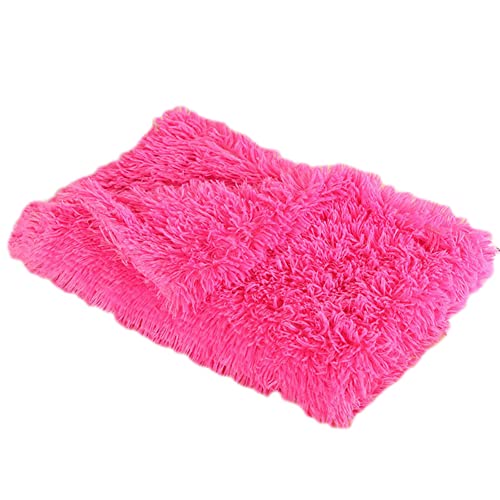 GUOCU Hundedecken Flauschig Plüsch Katzendecke Super Softe Weiche Warme Einfarbig Doppeilseitige Haustierdecke Weiche Fleecedecke Waschbare, Bett Decken für Hunde Und Katze,Rosen Rot,100×75cm von GUOCU