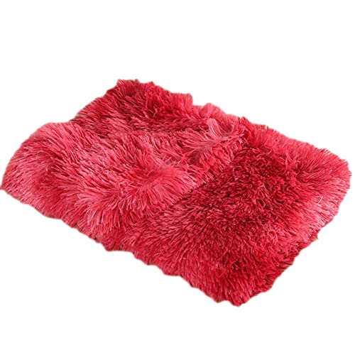 GUOCU Hundedecken Flauschig Plüsch Katzendecke Super Softe Weiche Warme Einfarbig Doppeilseitige Haustierdecke Weiche Fleecedecke Waschbare, Bett Decken für Hunde Und Katze,Rot1,100×75cm von GUOCU