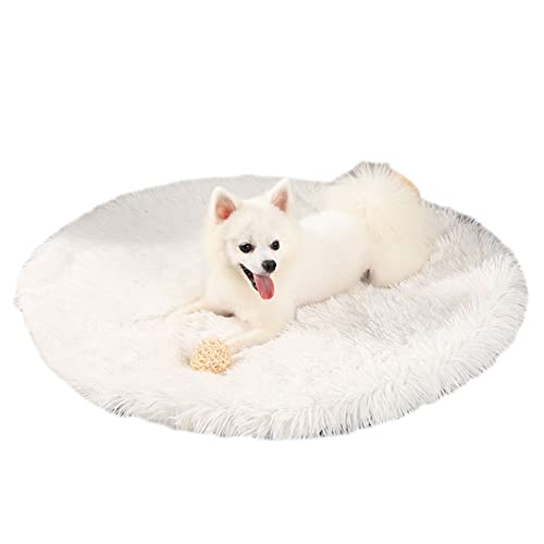 GUOCU Kunstpelz Shaggy Flauschig Hundematte Haustiermatte Super Weiches Hundebett Waschbar rutschfest Einfarbig Haustierbett für Hunde Und Katzen Runde Katzenbett Plüsches Bett,Weiß,40cm von GUOCU