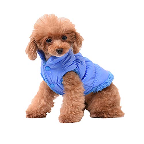 Haustier Hund Katze Kleidung,Hundejacke Hundemantel Warme Hund Jacke Katzen Gepolsterte Weste Bulldog Chihuahua Teddy Welpen Daunenjacke Wasserdichte Haustier Vierbeiniges Mantel Jacke Blau B XXL von GUOCU