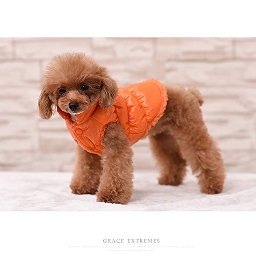 Haustier Hund Katze Kleidung,Hundejacke Hundemantel Warme Hund Jacke Katzen Gepolsterte Weste Bulldog Chihuahua Teddy Welpen Daunenjacke Wasserdichte Haustier Vierbeiniges Mantel Jacke Orange B 3XL von GUOCU