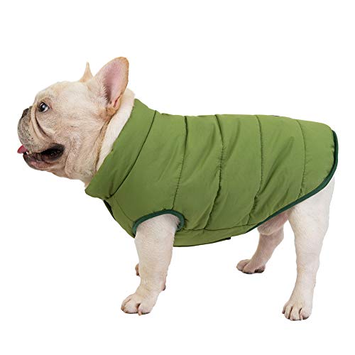 Haustier Kleidung Winter Warme Hundejacke Hundemantel Fleece Gefütterte Hundeweste Kaltes Wetter Hunde Katze Baumwoll Mantel Jacke Bulldogge Steppweste Katzenkleidung Hundekleidung Grün L von GUOCU