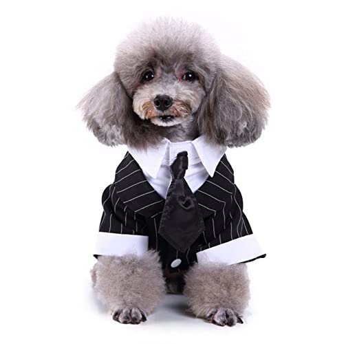 Hunde Hochzeitsfest Kostüm Stripes Stylish Formal Fliege Kostüm Hochzeitshemd Formeller Smoking Krawatte Hundeprinz Elegant Anzug Urlaubskleidung für Welpen Und Kleine Hunde,Schwarz2,M von GUOCU