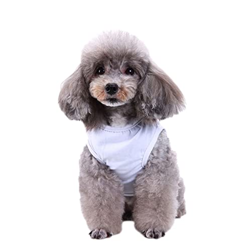 Hunde Katzen T-Shirts Haustier Einfarbig Kleidung Herbst Weste Hundehemden Atmungsaktiv Weiche Grundkleidung Hunde Sporthemden für Kleine Mittelgroße Hunde Haustiere Bekleidung,Weiß,L von GUOCU