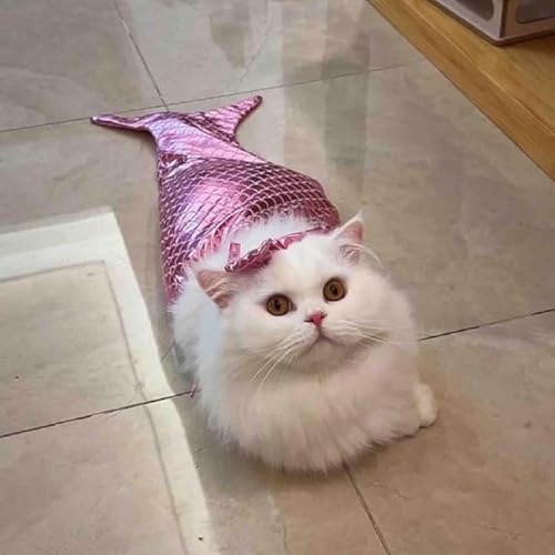 Cat Mermaid Costume, Cat Mermaid Tail, Cat Mermaid Outfits, Lustig Katzenkostüm, Meerjungfrau Katzenkostüm mit BH und Meerjungfrauenschwanz, Meerjungfrau Kostüme für Katzen, Kleintiere (Rosa, L) von GUSHE