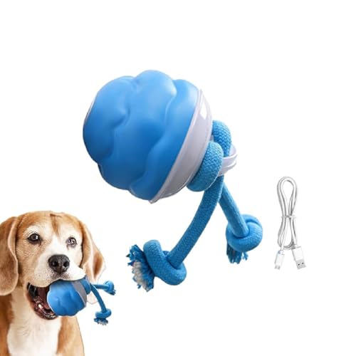 GUSHE Barkzys Power Tail 2.0 Dog Toy,Interaktives Hundespielzeug mit Bewegungsaktivierung,Hundespielzeug Ball mit Schnur,Hundeball Elektrisch USB Aufladbar,Selbstrollender Ball Für Kleine Hunde (A) von GUSHE