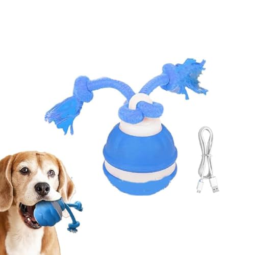 GUSHE Barkzys Power Tail 2.0 Dog Toy,Interaktives Hundespielzeug mit Bewegungsaktivierung,Hundespielzeug Ball mit Schnur,Hundeball Elektrisch USB Aufladbar,Selbstrollender Ball Für Kleine Hunde (B) von GUSHE