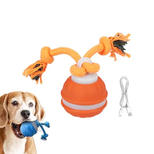 GUSHE Barkzys Power Tail 2.0 Dog Toy,Interaktives Hundespielzeug mit Bewegungsaktivierung,Hundespielzeug Ball mit Schnur,Hundeball Elektrisch USB Aufladbar,Selbstrollender Ball Für Kleine Hunde (C) von GUSHE