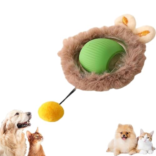 Interactive Cat Toys Rolling Ball Chewie Dog Ball, Interaktives Katzenspielzeug Ball, Super Drive Elektrisches Katzenspielzeug, Automatisch 360 Grad Rollender Ball mit USB Aufladbar für Katzen (Grün) von GUSHE