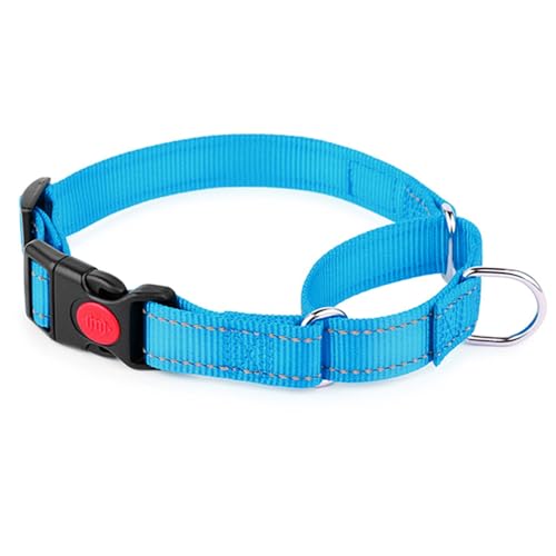 Gepolstertes Hundehalsband - Reflektierendes, starkes Hundehalsband mit doppellagigem Gurtband, verstellbares, strapazierfähiges Halsband mit Metallschnalle für mittelgroße Hunde (Blau) von GUsoul