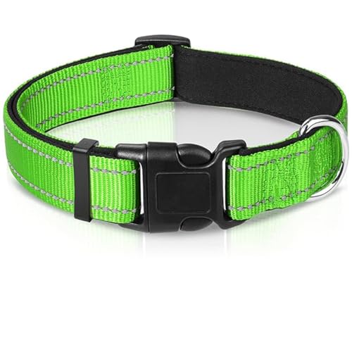 Reflektierendes, gepolstertes Neopren-Hundehalsband, verstellbares Nylon-Halsband für extra kleine und Welpenhunde (XS, Grün) von GUsoul