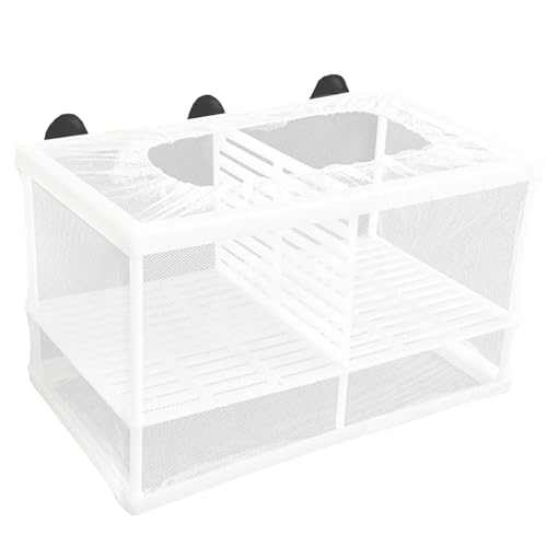 GVRGO Fischzuchtbox für Aquarium Fischtank, Netznetz Brutkasten Isolationsbox mit Saugnäpfen für Babyfische Garnelen Betta und Guppy - Groß mit Abstandshalter von GVRGO