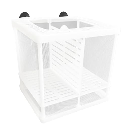 GVRGO Fischzuchtbox für Aquarium Fischtank, Netznetz Brutkasten Isolationsbox mit Saugnäpfen für Babyfische Garnelen Betta und Guppy - Klein mit Abstandshalter von GVRGO