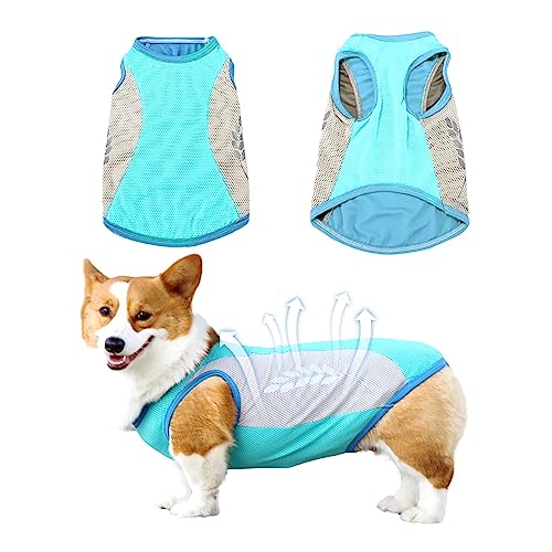 GWAWG Kühlweste für Hunde Kühlmantel Kühljacke Hund Weich Bequem mit Reflektorstreifen für den Sommer,Blau,M von GWAWG