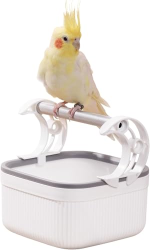 Bird Desktop Trainingsständer, tragbare Vogelstange Papageienspielständer, geeignet für Sittiche, Papageien, Wellensittiche, Finken, Lovebirds, Vogel-Trainingsständer (A1) von GYJZZW