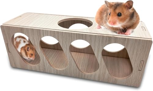 Hamstertunnel, Hamsterversteck, Hamsterhaus, Hamsterkäfigzubehör, Hamster-Labyrinth, Hamsterplattform, geeignet für Rennmäuse, Zwerghamster, syrische Hamster, Ratten, Meerschweinchen (1 Stück) von GYJZZW