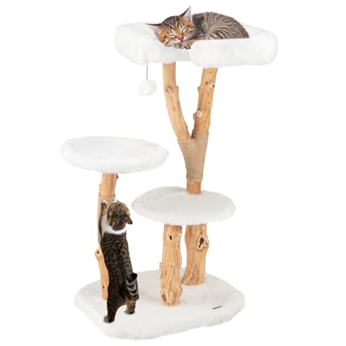 GYMAX Kletterbaum 110 cm, Katzenbaum mit echten Ästen, Kratzpfosten & hängendem Ball, Kratzbaum, Katzenhaus für Katzen zum Ruhen & Klettern GYMAX Kletterbaum 110 cm, Katzenbaum mit echten Ästen, Kratzpfosten & hängendem Ball, Kratzbaum, Katzenhaus für Katzen zum Ruhen & Klettern von GYMAX