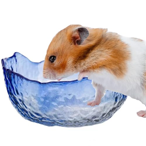 Futternapf für Hamster, Kleintiere, Futter- und Wassernäpfe, kaufest, für syrische Zwerghamster, Rennmäuse, Mäuse, Ratten oder andere ähnlich große kleine Haustiere (blau) von GYWHZC