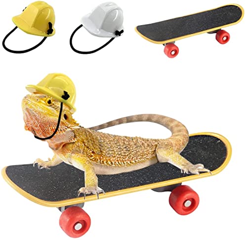 GYYJW Lizard Spielzeug Zubehör Lizard Little Engineer Hut Bauhelm Kappe und Mini Scooter für Hamster Eidechse Papagei Reptilienkritter 3 Stück von GYYJW