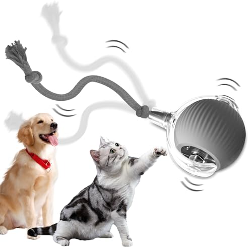 GYZGirlover Chewie-Ball, interaktiver Hundeball, Chewie-Ball für Katzen, Hunde, interaktives Katzenspielzeug, Rollball, Hundeball, 360° intelligent, automatisches Rollen, große kleine Katzen und von GYZGirlover